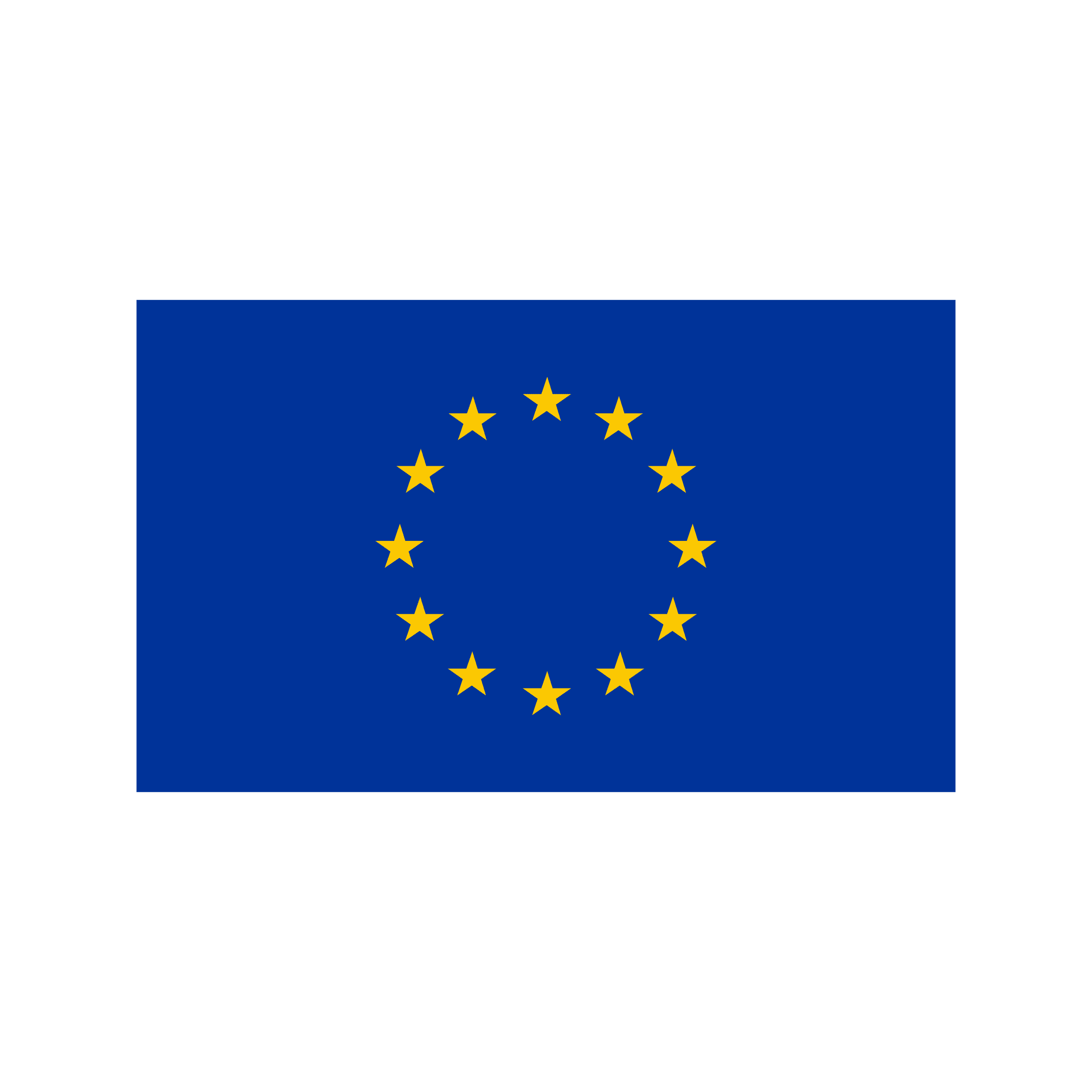 Bandiere Unione Europea